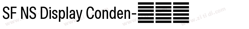 SF NS Display Conden字体转换